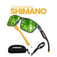 Cinza | Verde Espelhado