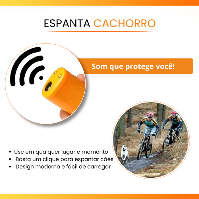 O cachorro veio — aponte e acione