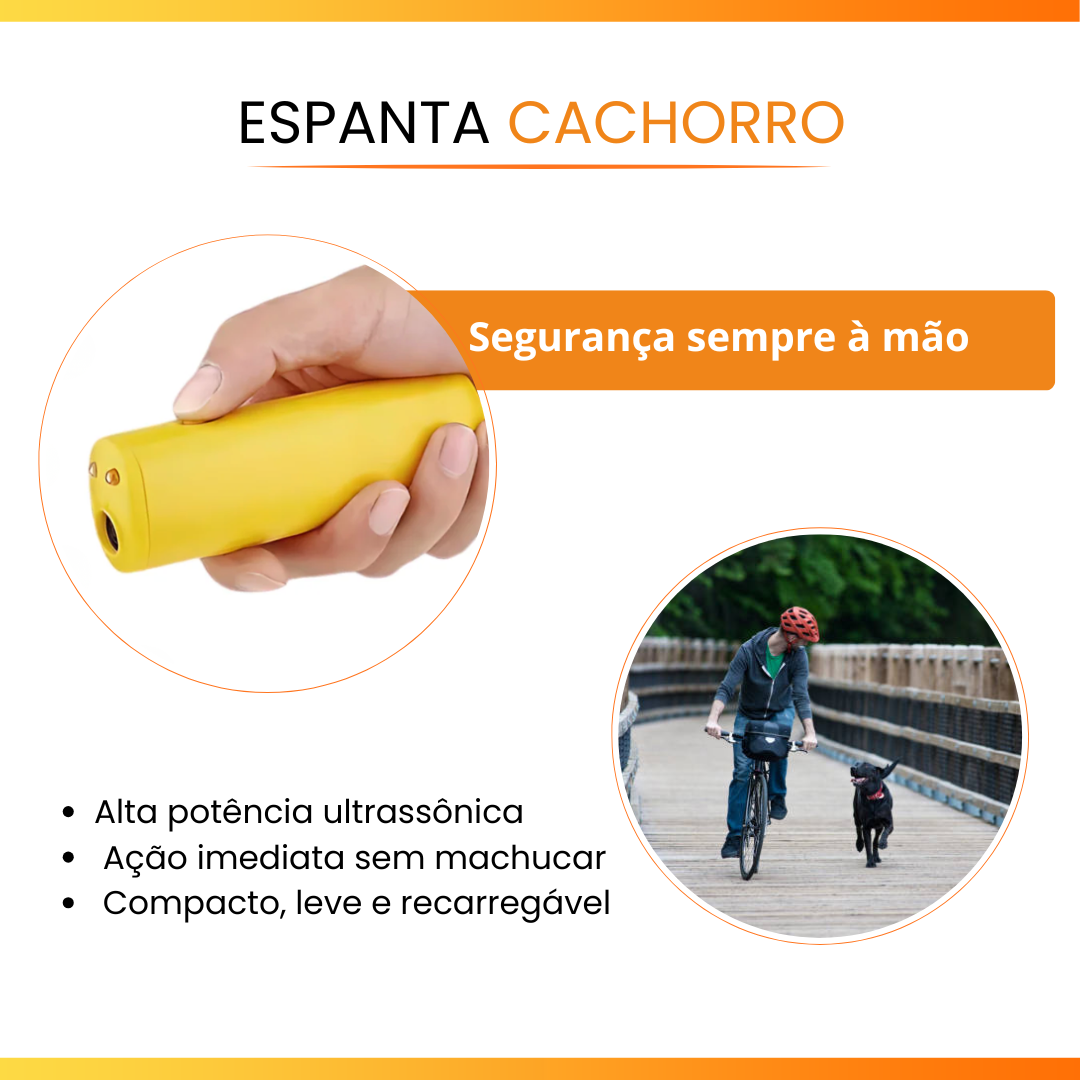 O cachorro saiu do portão. E agora?