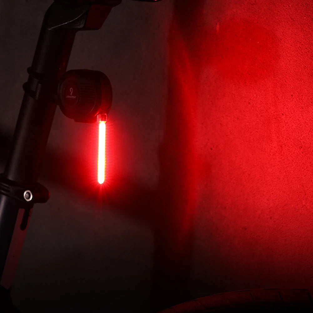 A luz que morre no meio do pedal noturno.